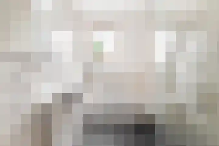Vleugeltjesbloem 16 Castricum thumbnail 33