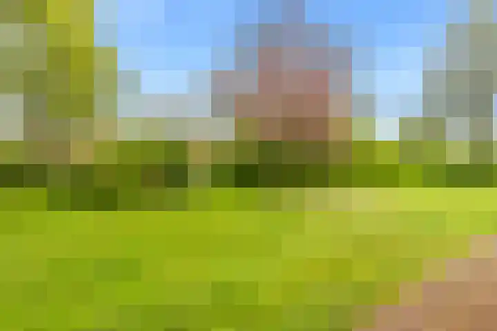 Vleugeltjesbloem 16 Castricum thumbnail 51