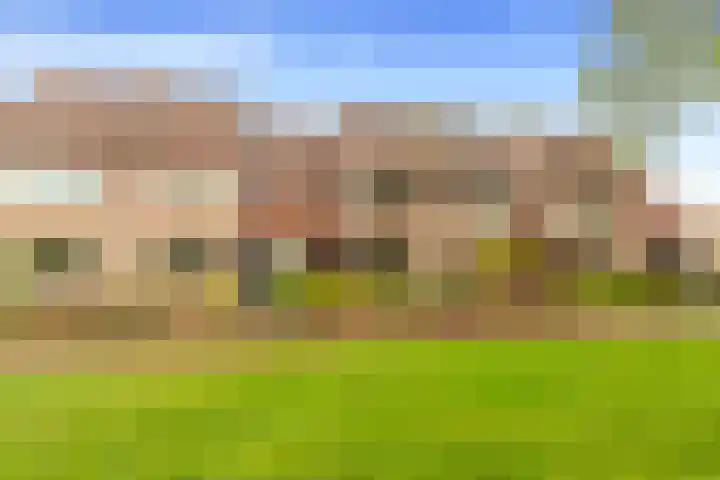 Vleugeltjesbloem 16 Castricum thumbnail 52