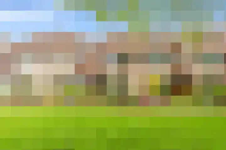 Vleugeltjesbloem 16 Castricum thumbnail 6