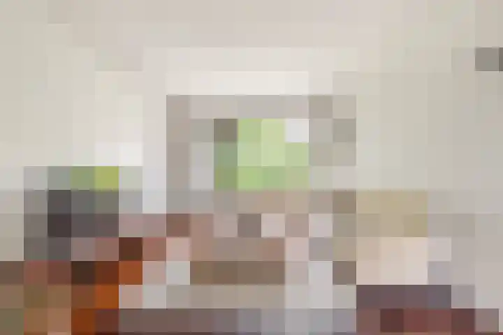Vleugeltjesbloem 16 Castricum thumbnail 8