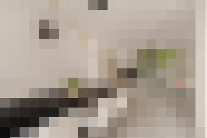 Vleugelvaren 24 Rotterdam thumbnail 10