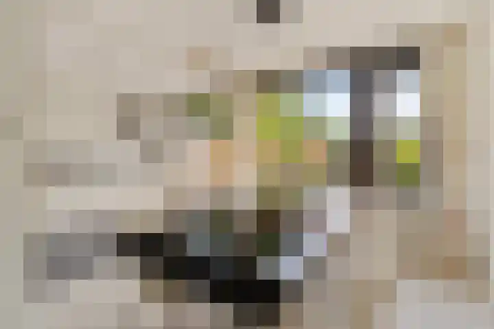 Vleugelvaren 24 Rotterdam thumbnail 11