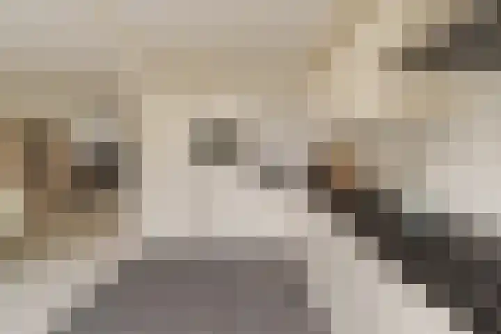 Vleugelvaren 24 Rotterdam thumbnail 12