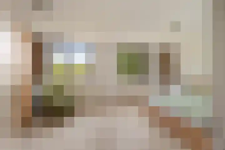 Vleugelvaren 24 Rotterdam thumbnail 14