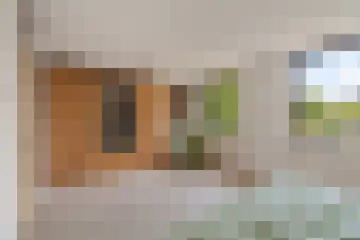 Vleugelvaren 24 Rotterdam thumbnail 16