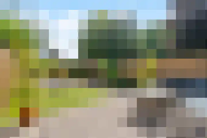 Vleugelvaren 24 Rotterdam thumbnail 25