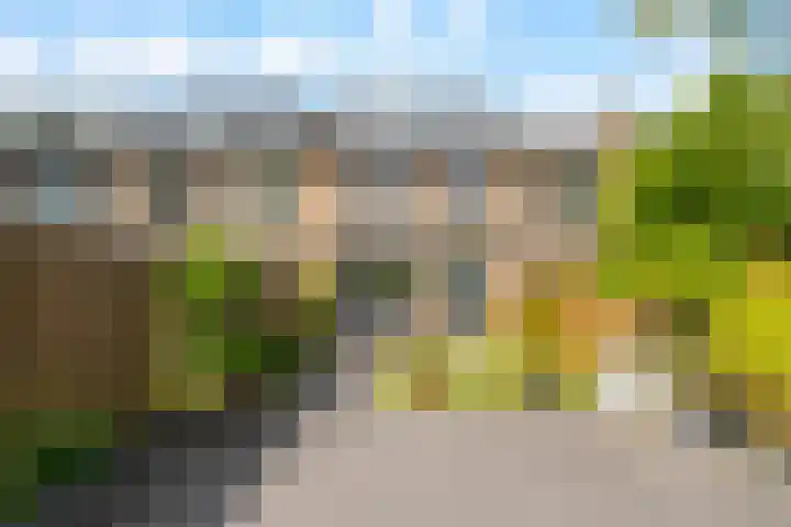 Vleugelvaren 24 Rotterdam thumbnail 26