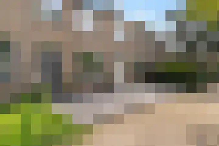 Vleugelvaren 24 Rotterdam thumbnail 27