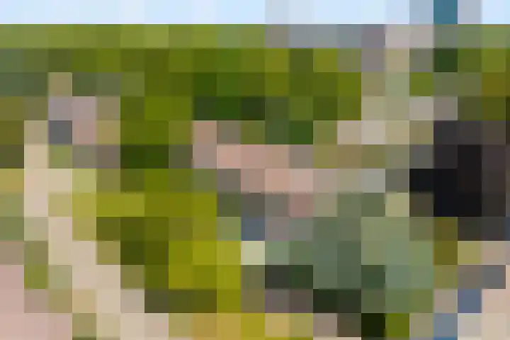 Vleugelvaren 24 Rotterdam thumbnail 31