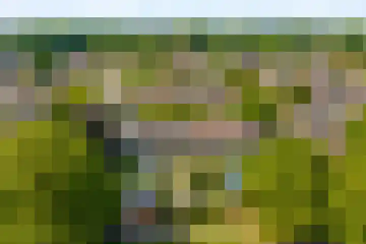Vleugelvaren 24 Rotterdam thumbnail 33