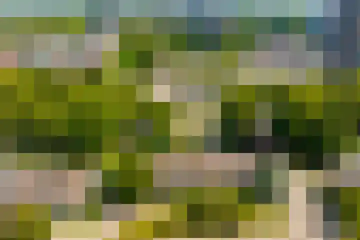 Vleugelvaren 24 Rotterdam thumbnail 34