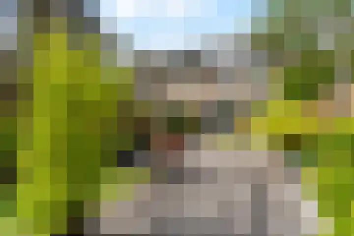 Vleugelvaren 24 Rotterdam thumbnail 40