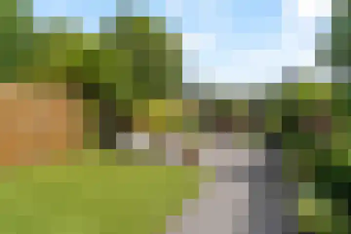 Vleugelvaren 24 Rotterdam thumbnail 5