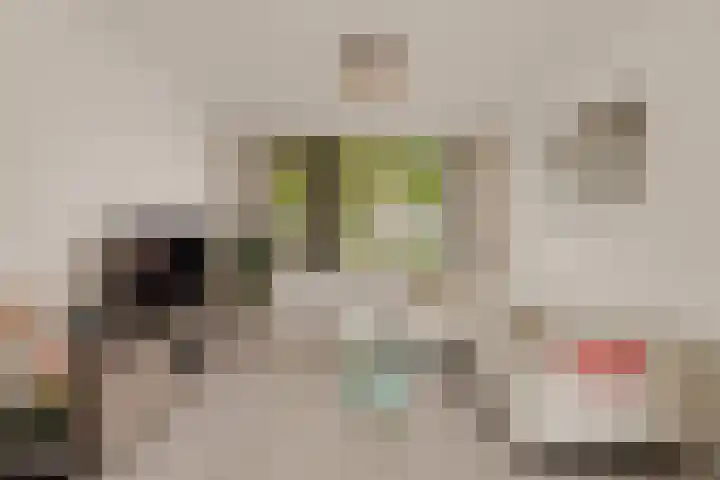Vleugelvaren 24 Rotterdam thumbnail 7