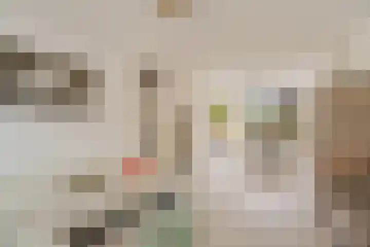 Vleugelvaren 24 Rotterdam thumbnail 8