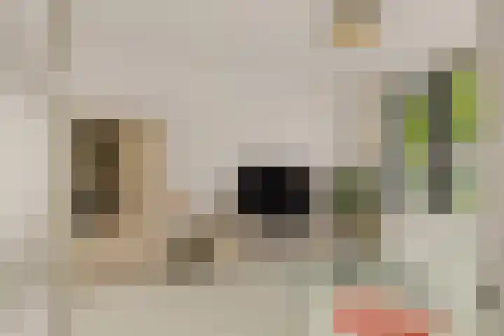 Vleugelvaren 24 Rotterdam thumbnail 9