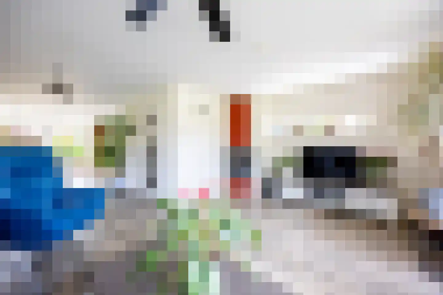 Vleugelvaren 5 Bergschenhoek thumbnail 10