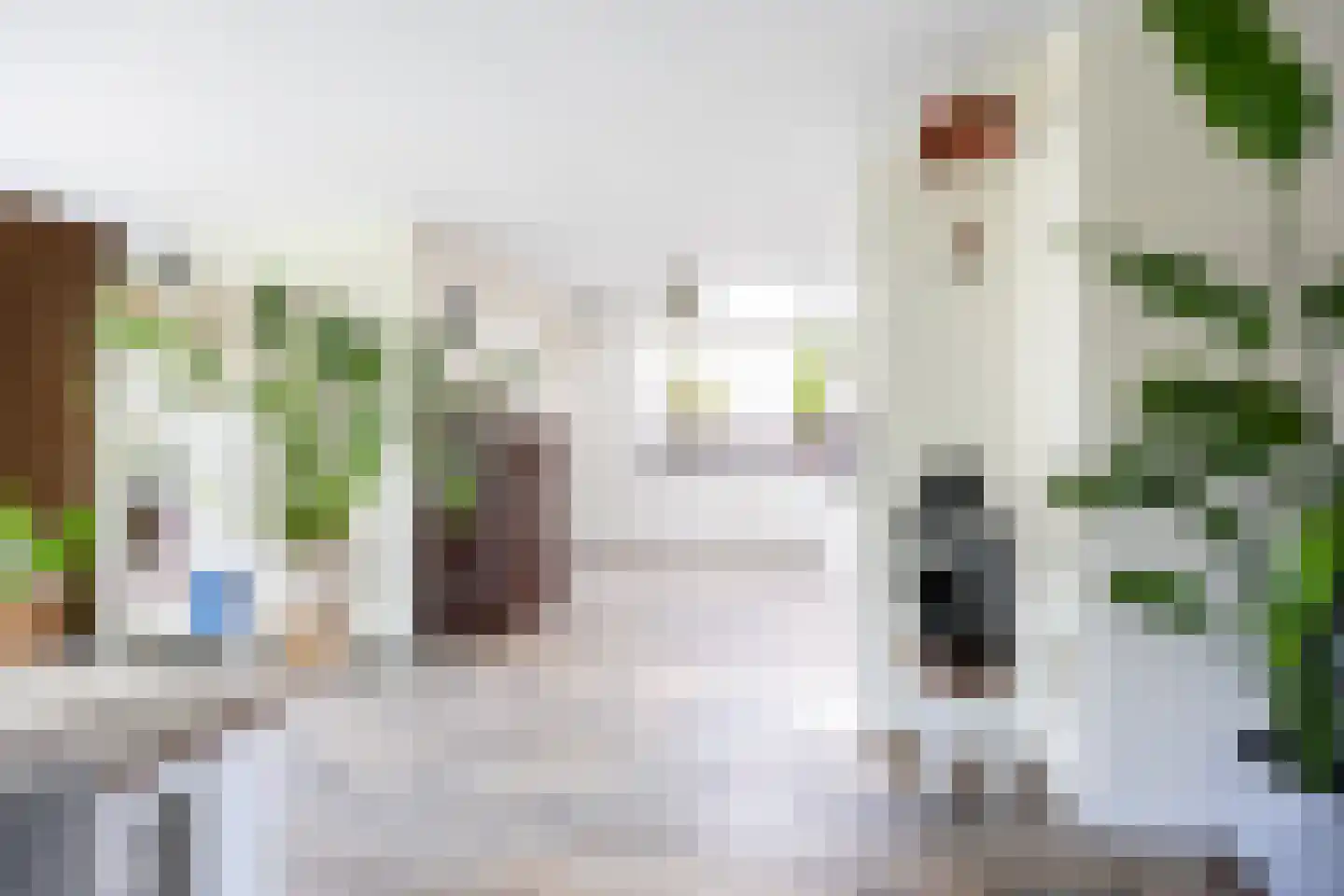 Vleugelvaren 5 Bergschenhoek thumbnail 14