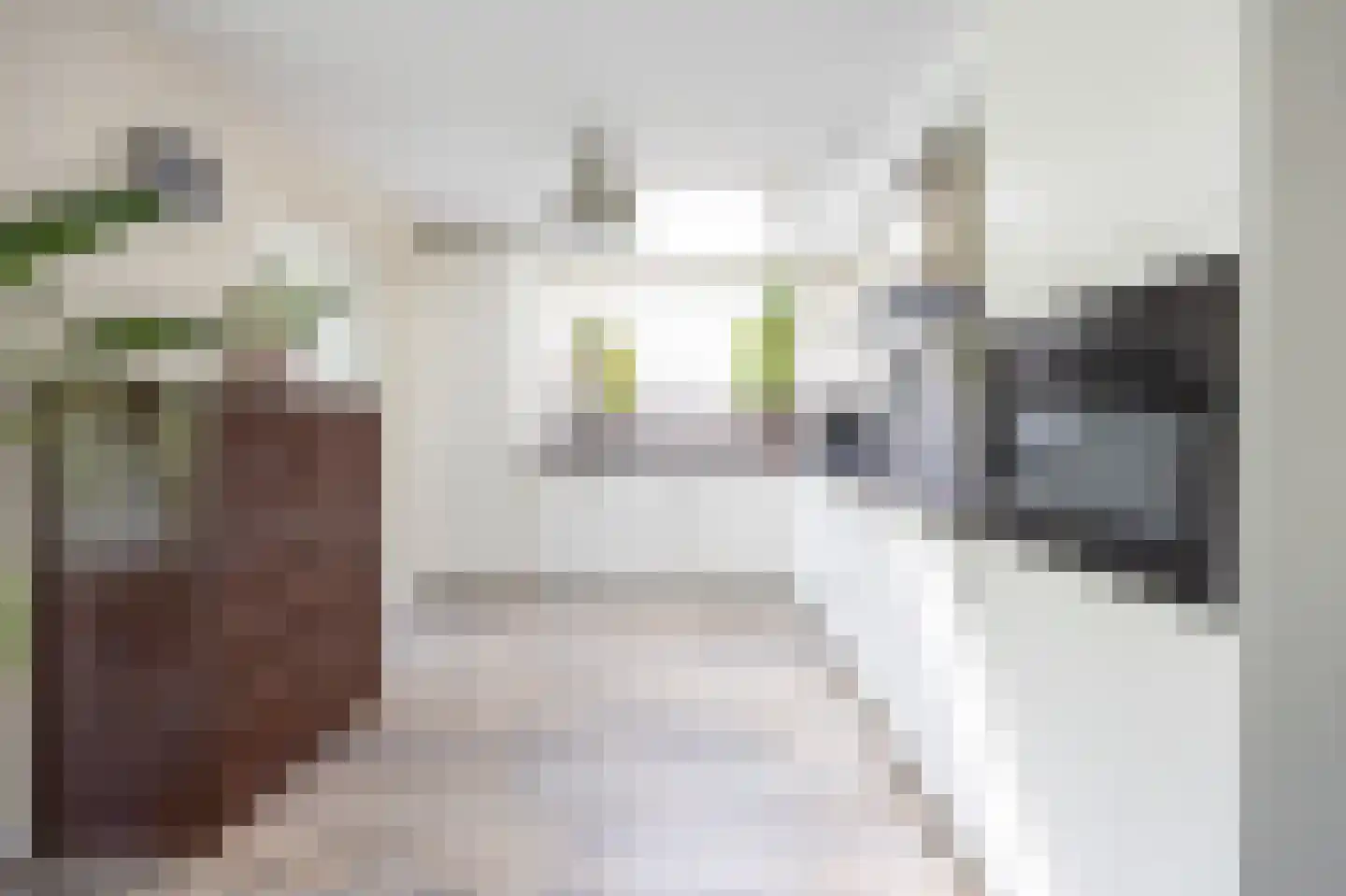 Vleugelvaren 5 Bergschenhoek thumbnail 15