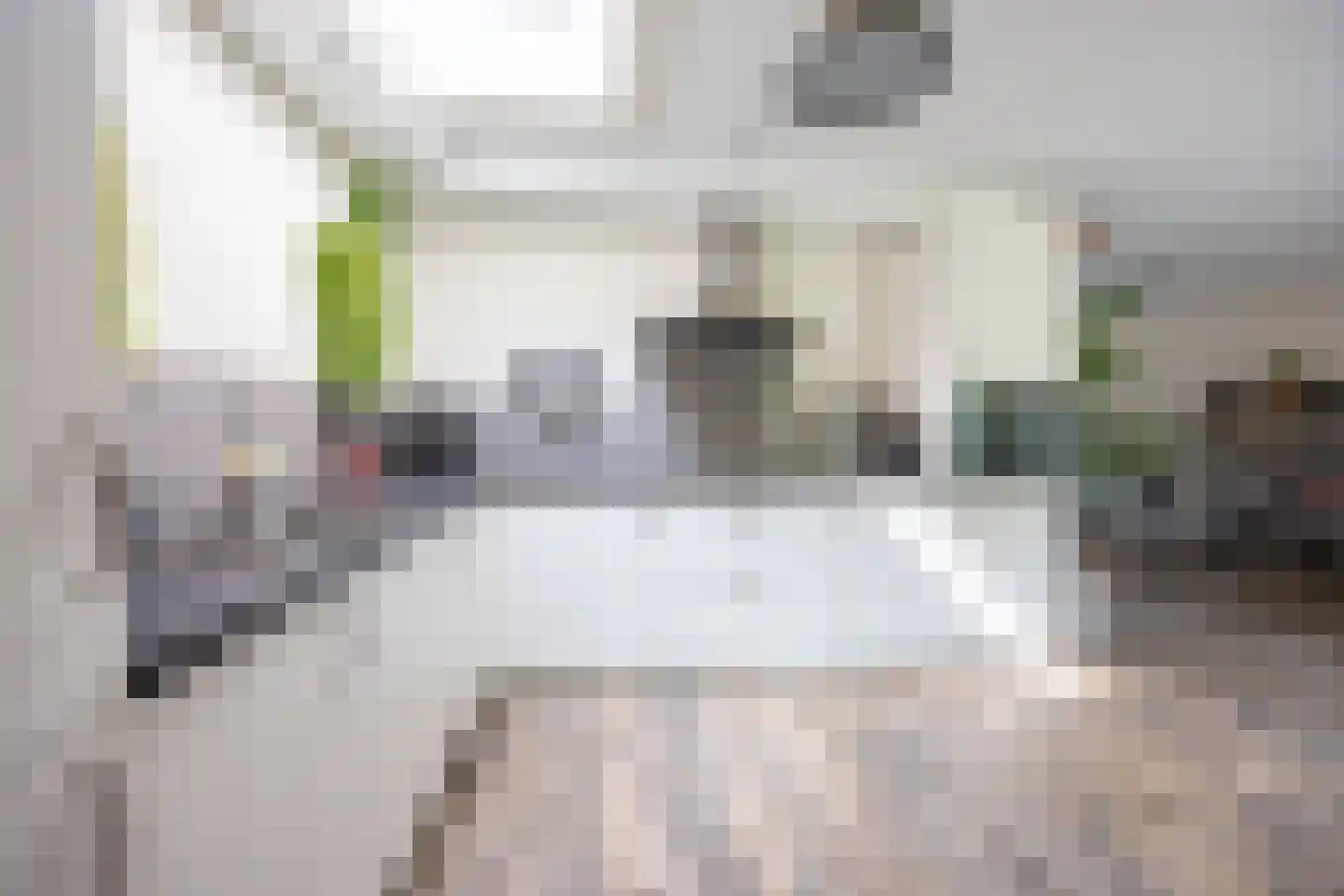 Vleugelvaren 5 Bergschenhoek thumbnail 18