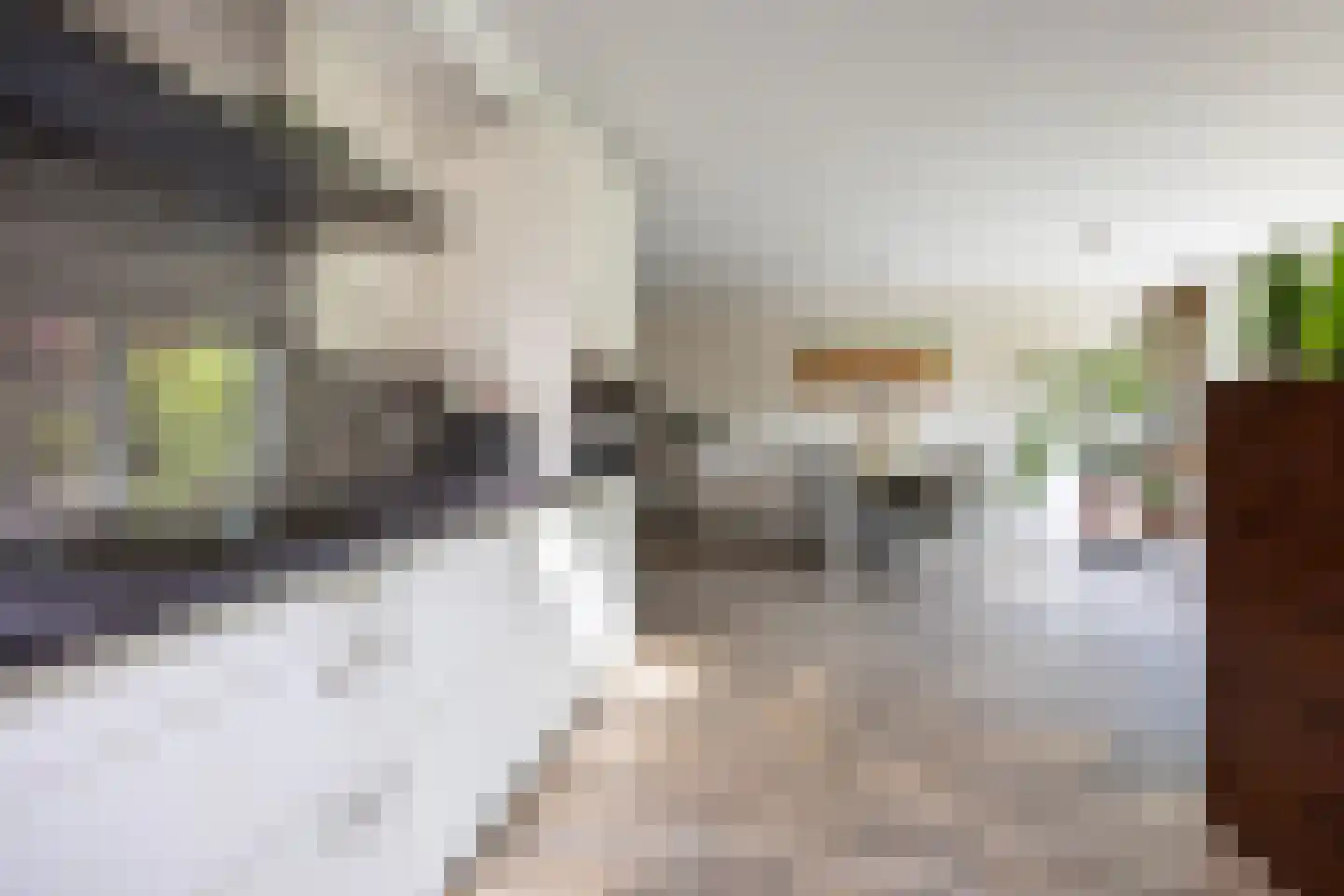 Vleugelvaren 5 Bergschenhoek thumbnail 19