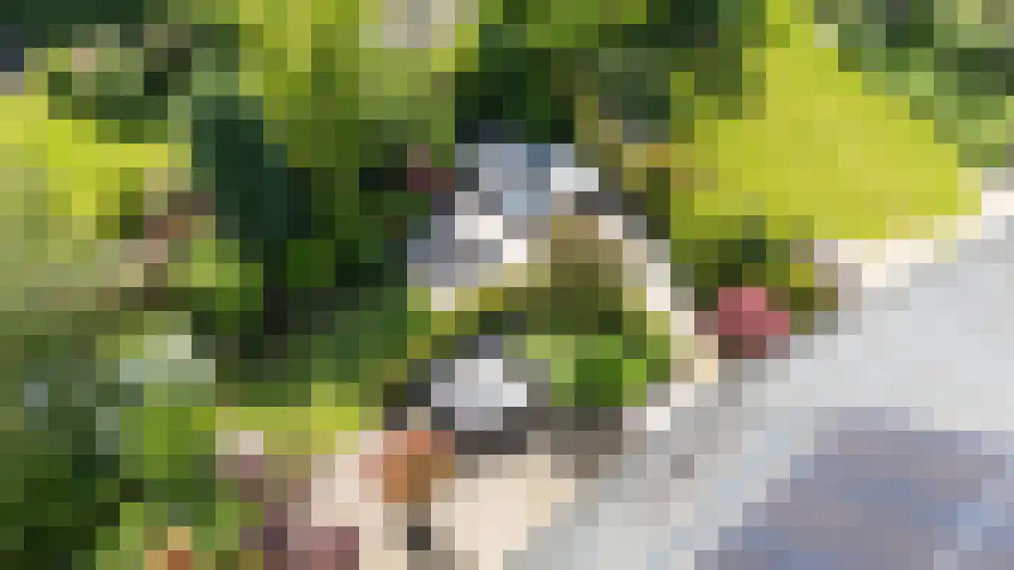 Vleugelvaren 5 Bergschenhoek thumbnail 22