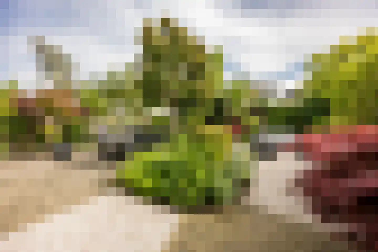 Vleugelvaren 5 Bergschenhoek thumbnail 23