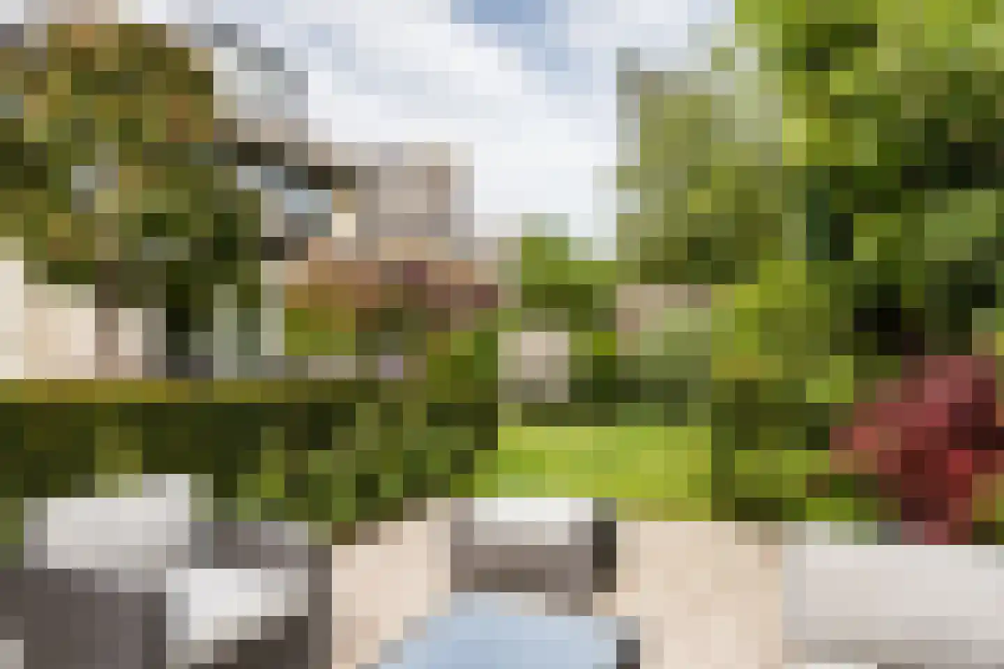 Vleugelvaren 5 Bergschenhoek thumbnail 24