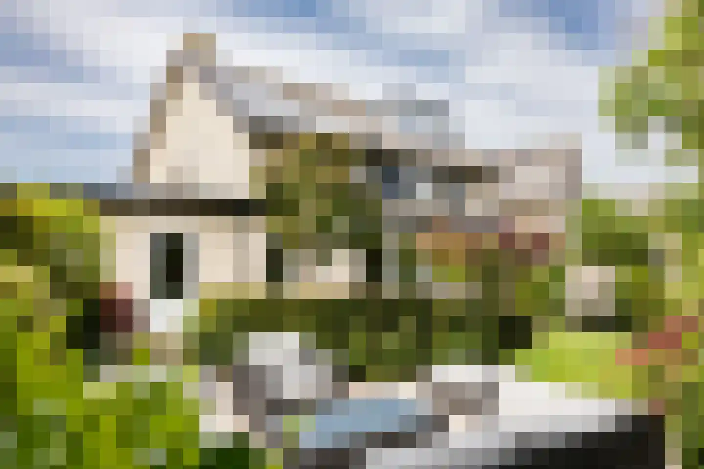 Vleugelvaren 5 Bergschenhoek thumbnail 25