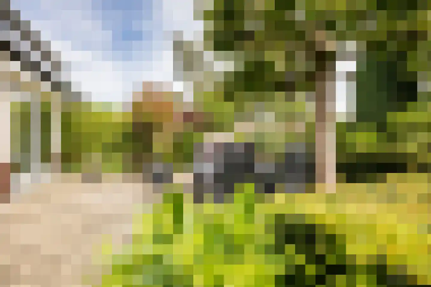 Vleugelvaren 5 Bergschenhoek thumbnail 26