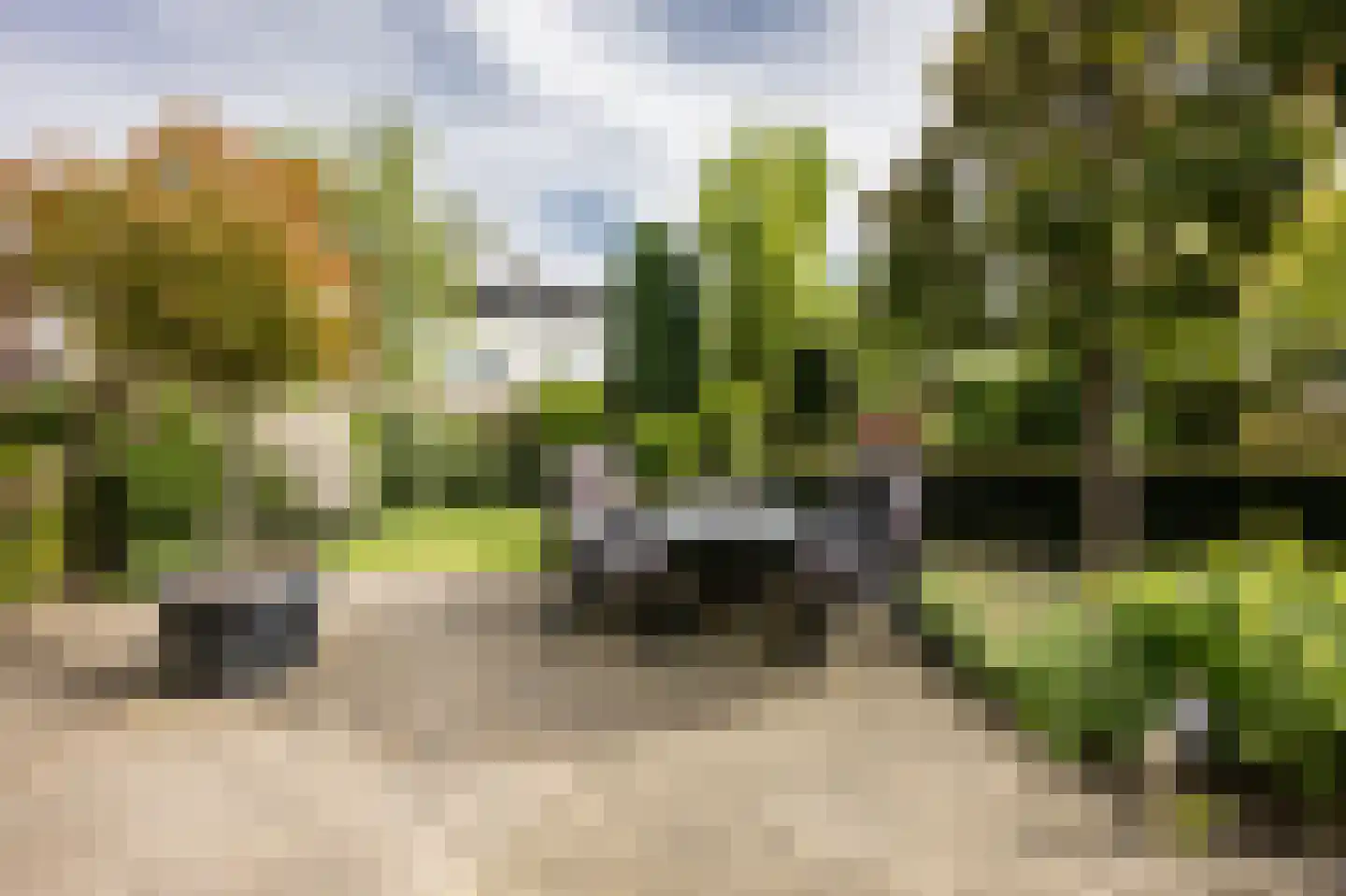 Vleugelvaren 5 Bergschenhoek thumbnail 27