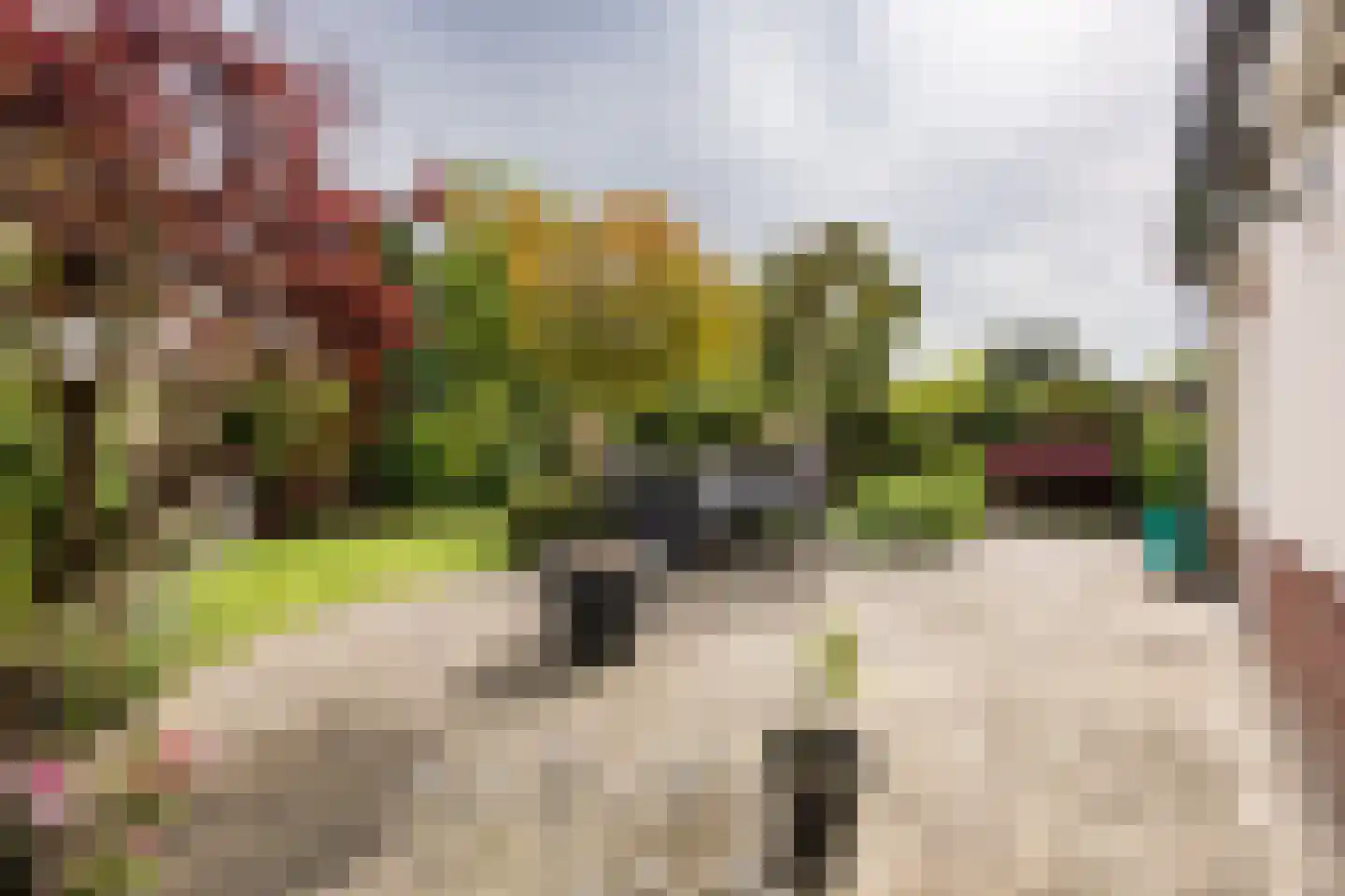 Vleugelvaren 5 Bergschenhoek thumbnail 28