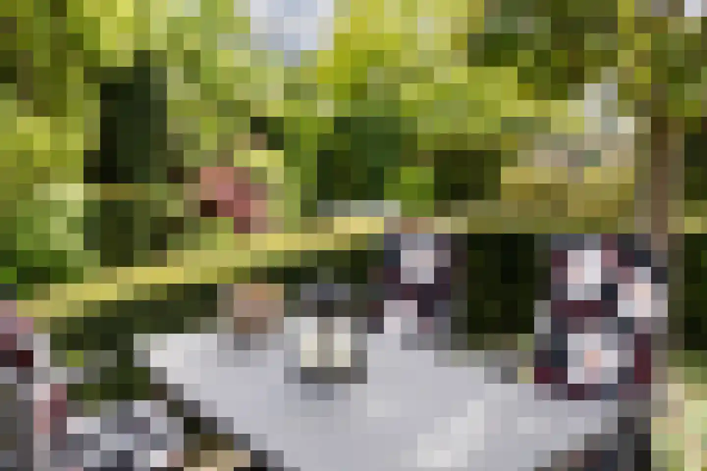 Vleugelvaren 5 Bergschenhoek thumbnail 29