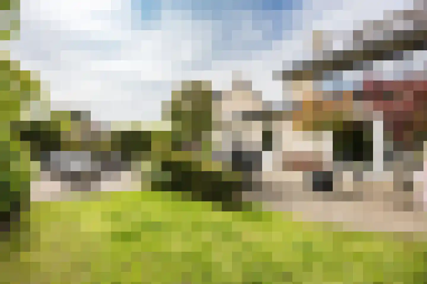 Vleugelvaren 5 Bergschenhoek thumbnail 31