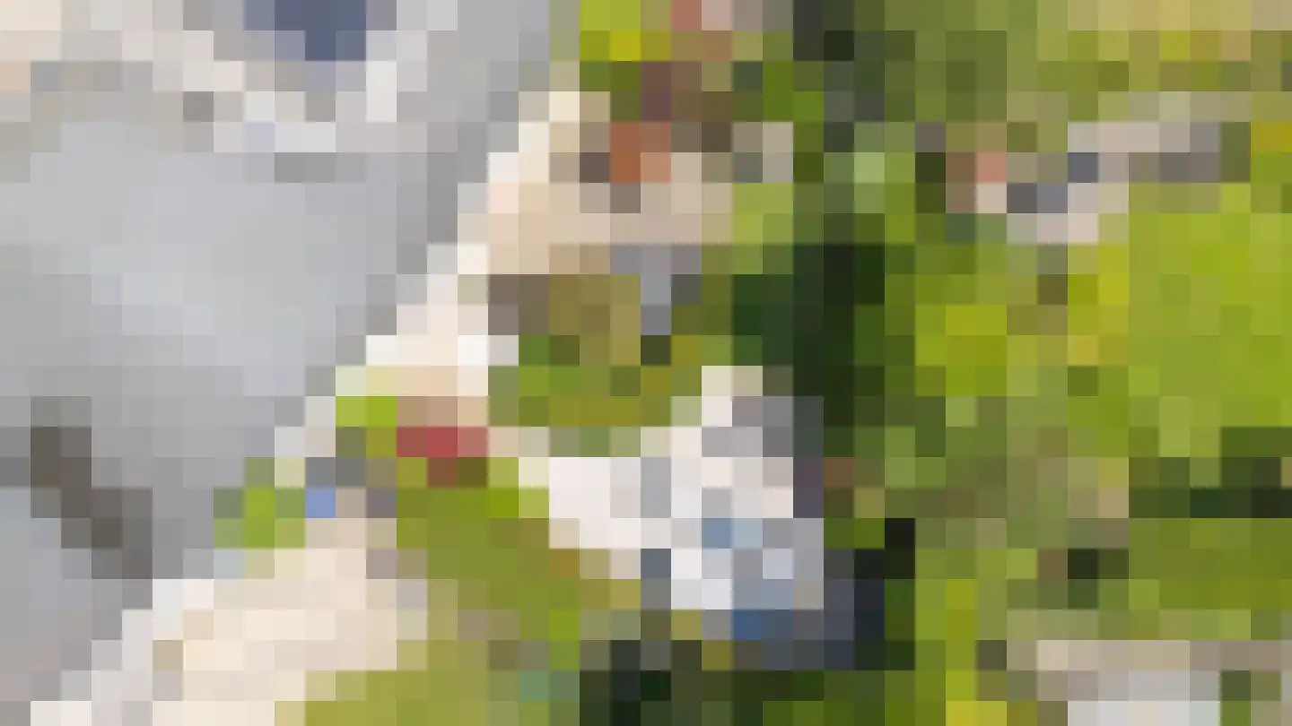 Vleugelvaren 5 Bergschenhoek thumbnail 32