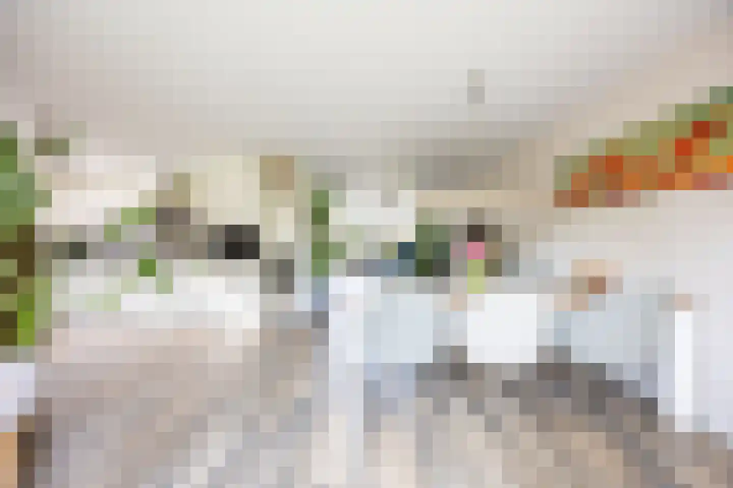 Vleugelvaren 5 Bergschenhoek thumbnail 33