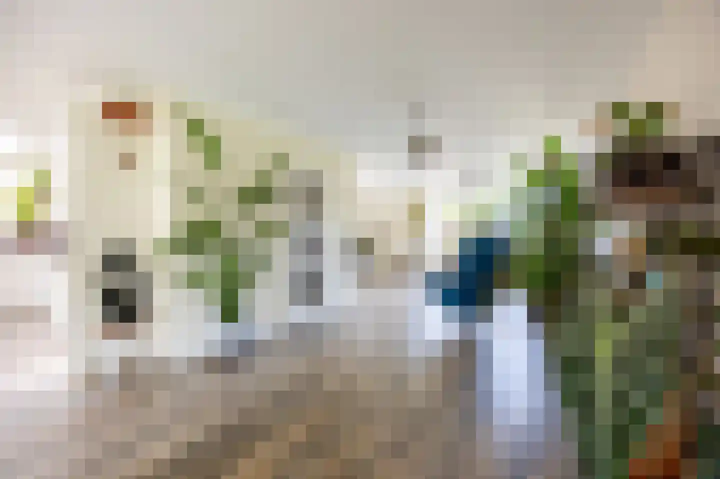 Vleugelvaren 5 Bergschenhoek thumbnail 34