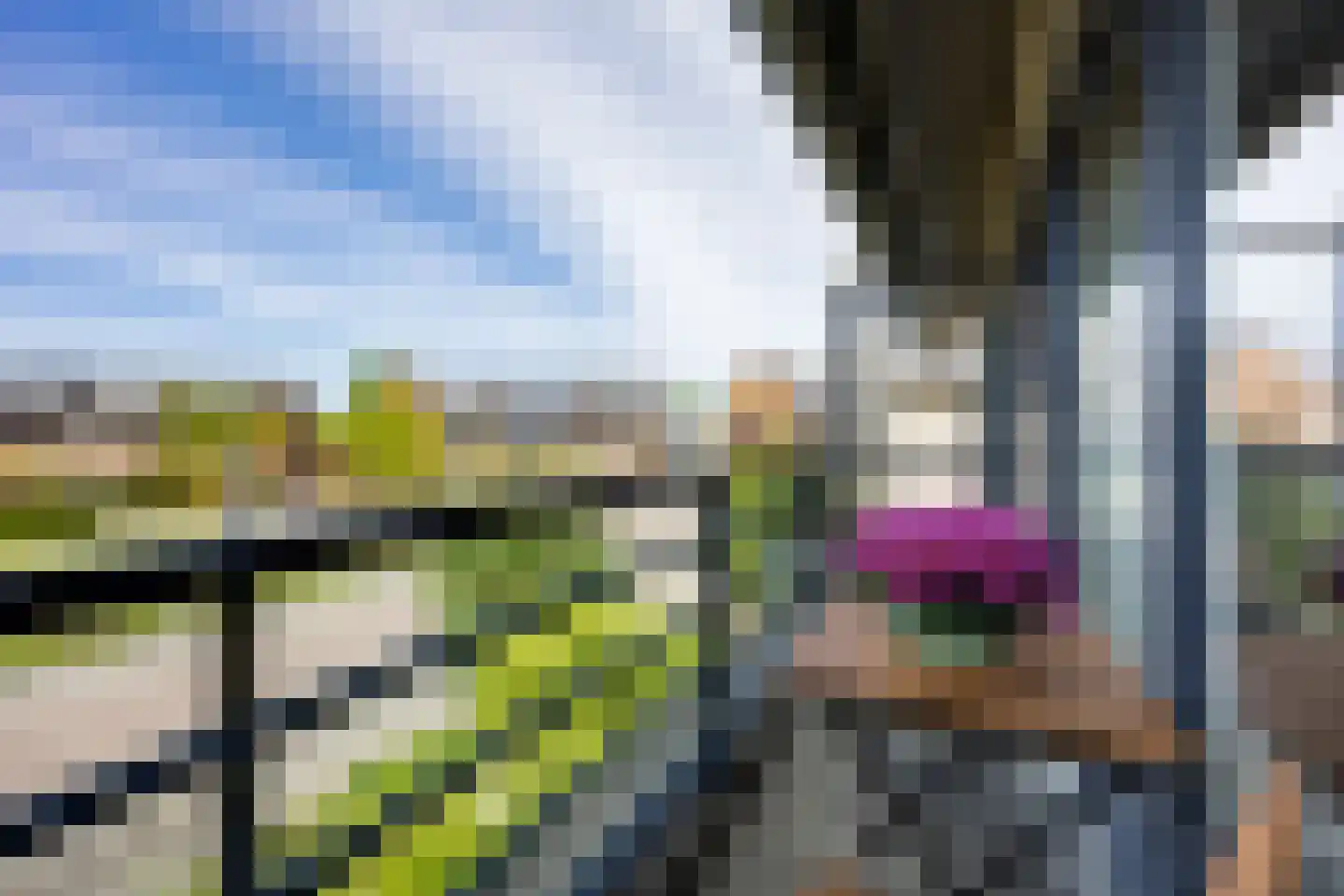 Vleugelvaren 5 Bergschenhoek thumbnail 40