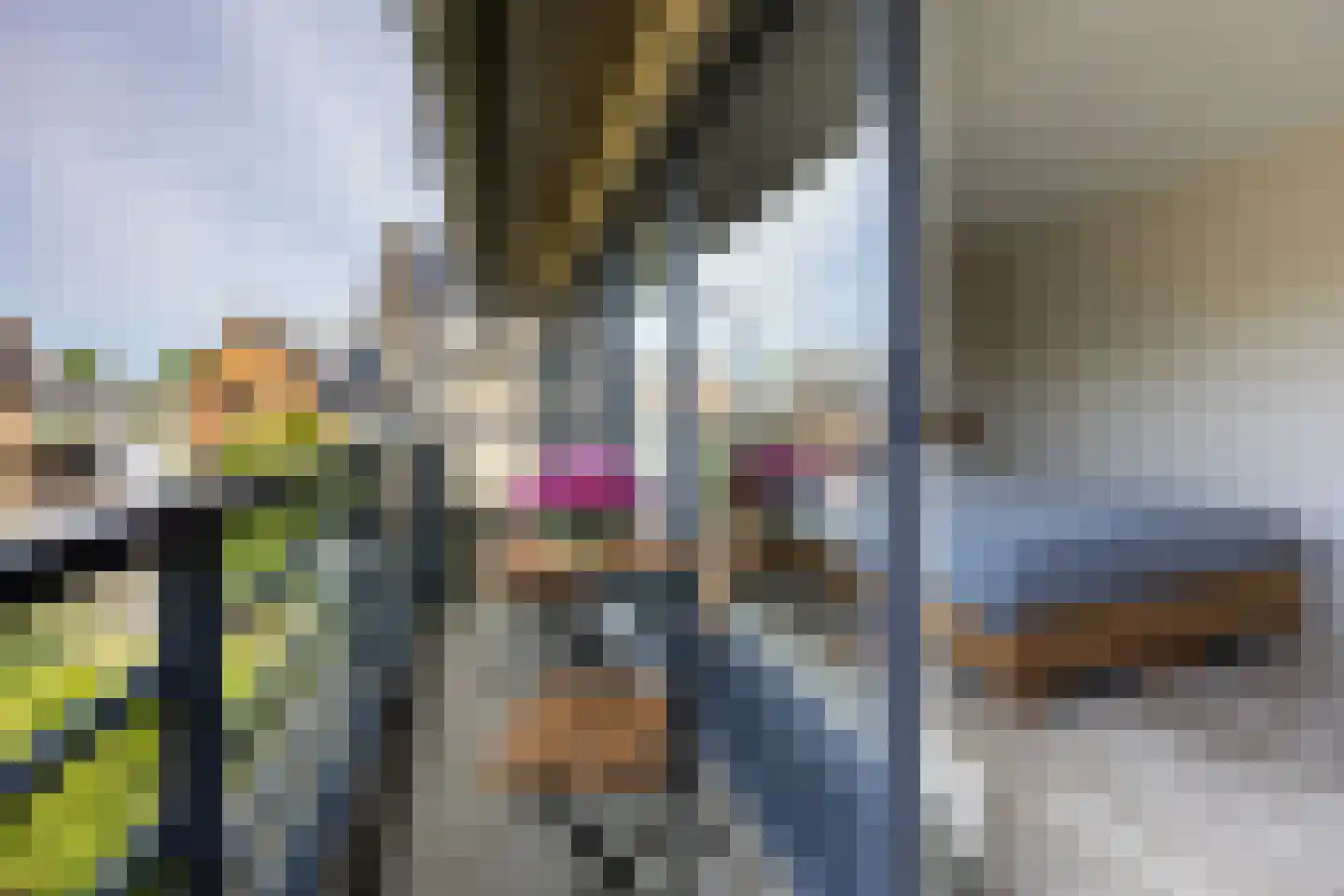 Vleugelvaren 5 Bergschenhoek thumbnail 41