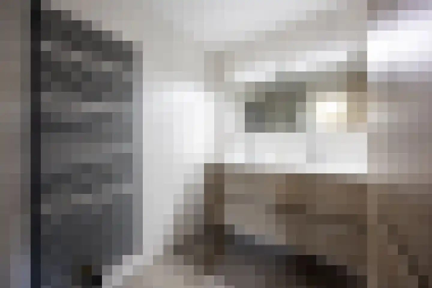 Vleugelvaren 5 Bergschenhoek thumbnail 43