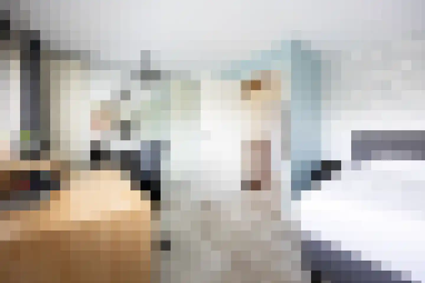 Vleugelvaren 5 Bergschenhoek thumbnail 47