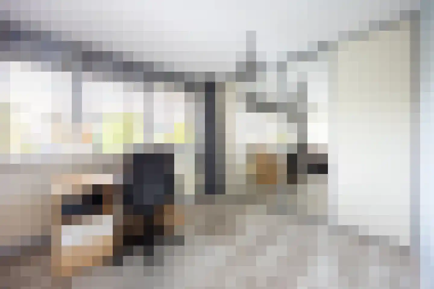 Vleugelvaren 5 Bergschenhoek thumbnail 48