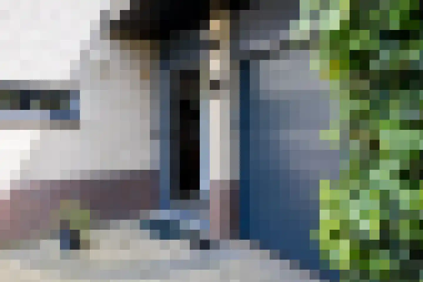 Vleugelvaren 5 Bergschenhoek thumbnail 5