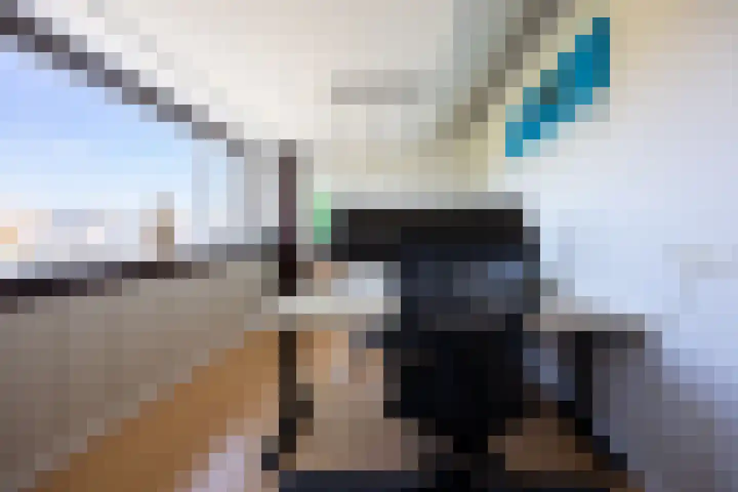 Vleugelvaren 5 Bergschenhoek thumbnail 52