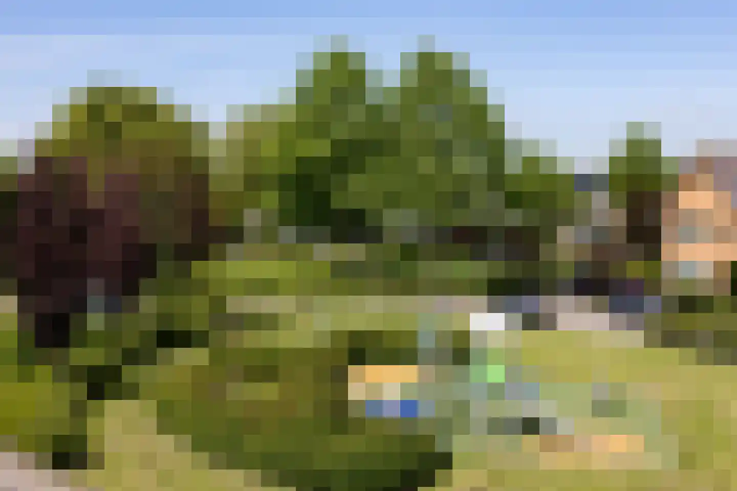 Vleugelvaren 5 Bergschenhoek thumbnail 53