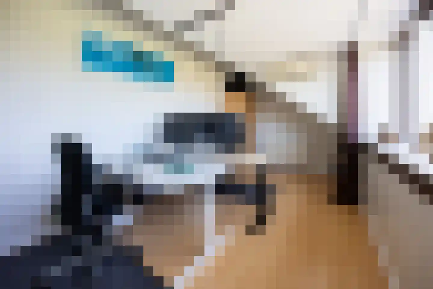 Vleugelvaren 5 Bergschenhoek thumbnail 54