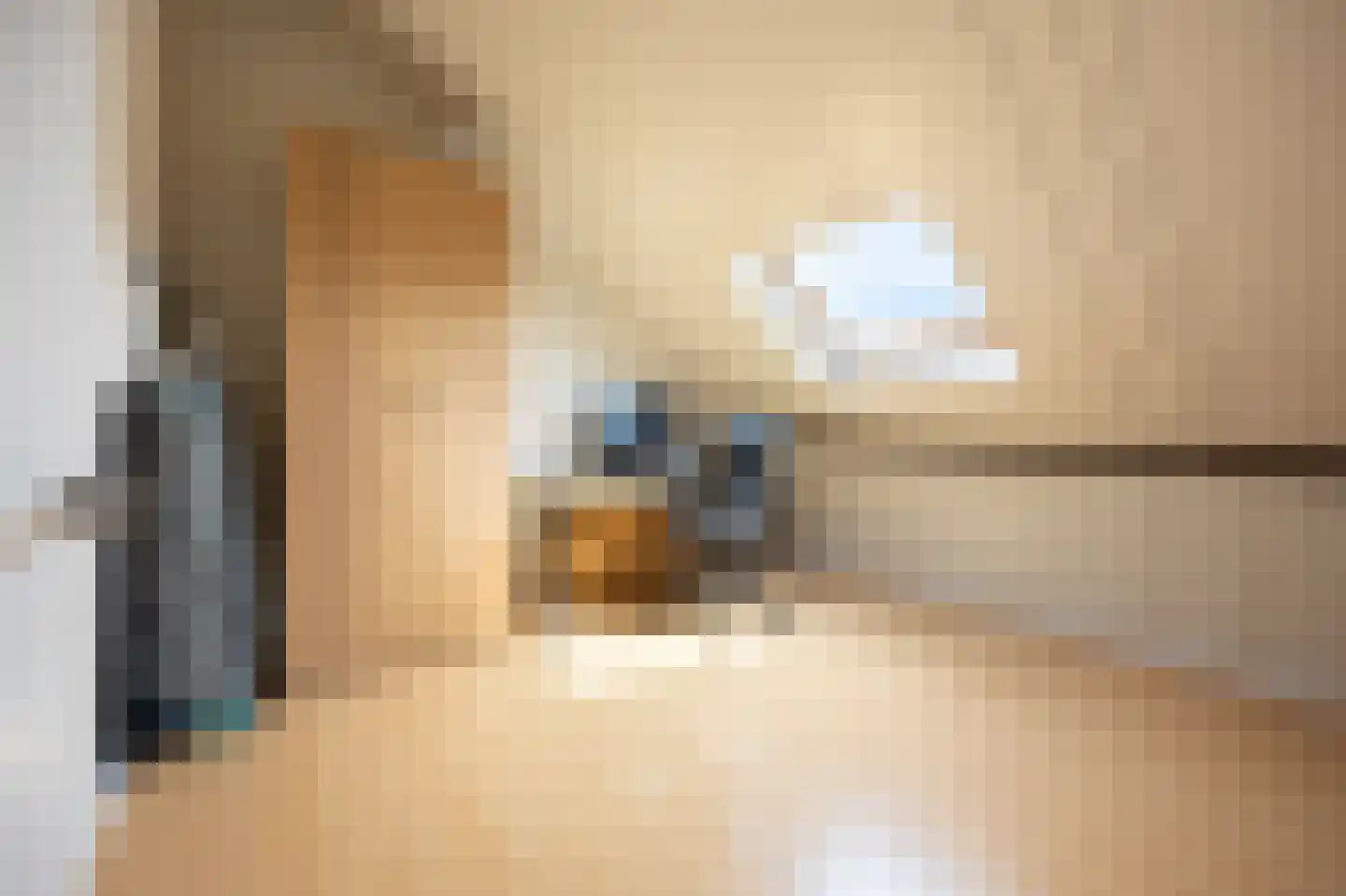 Vleugelvaren 5 Bergschenhoek thumbnail 55