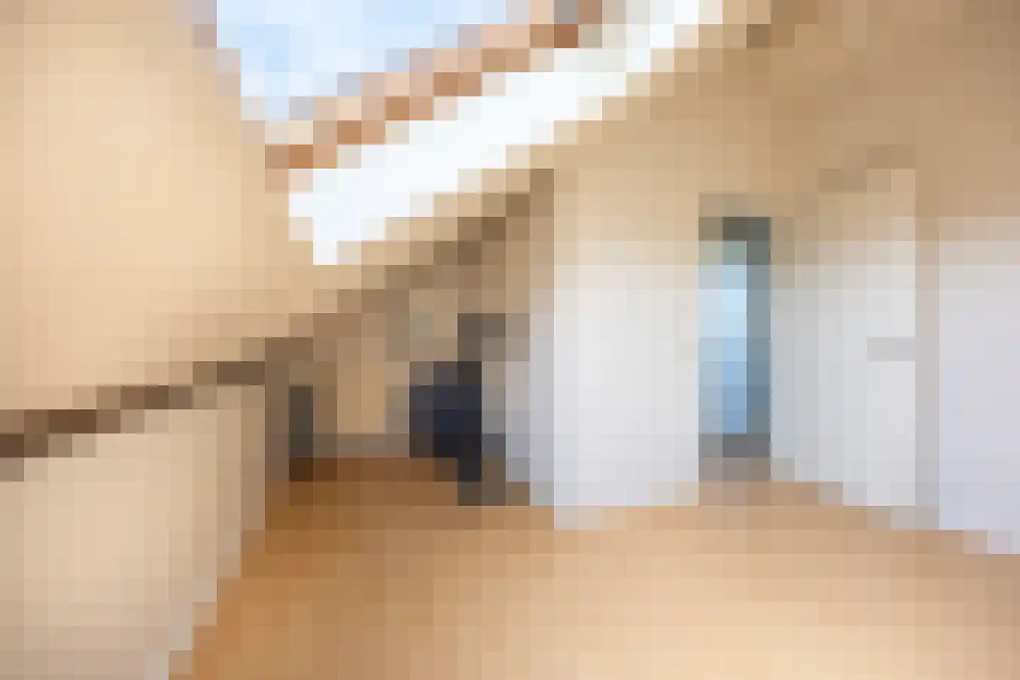 Vleugelvaren 5 Bergschenhoek thumbnail 56