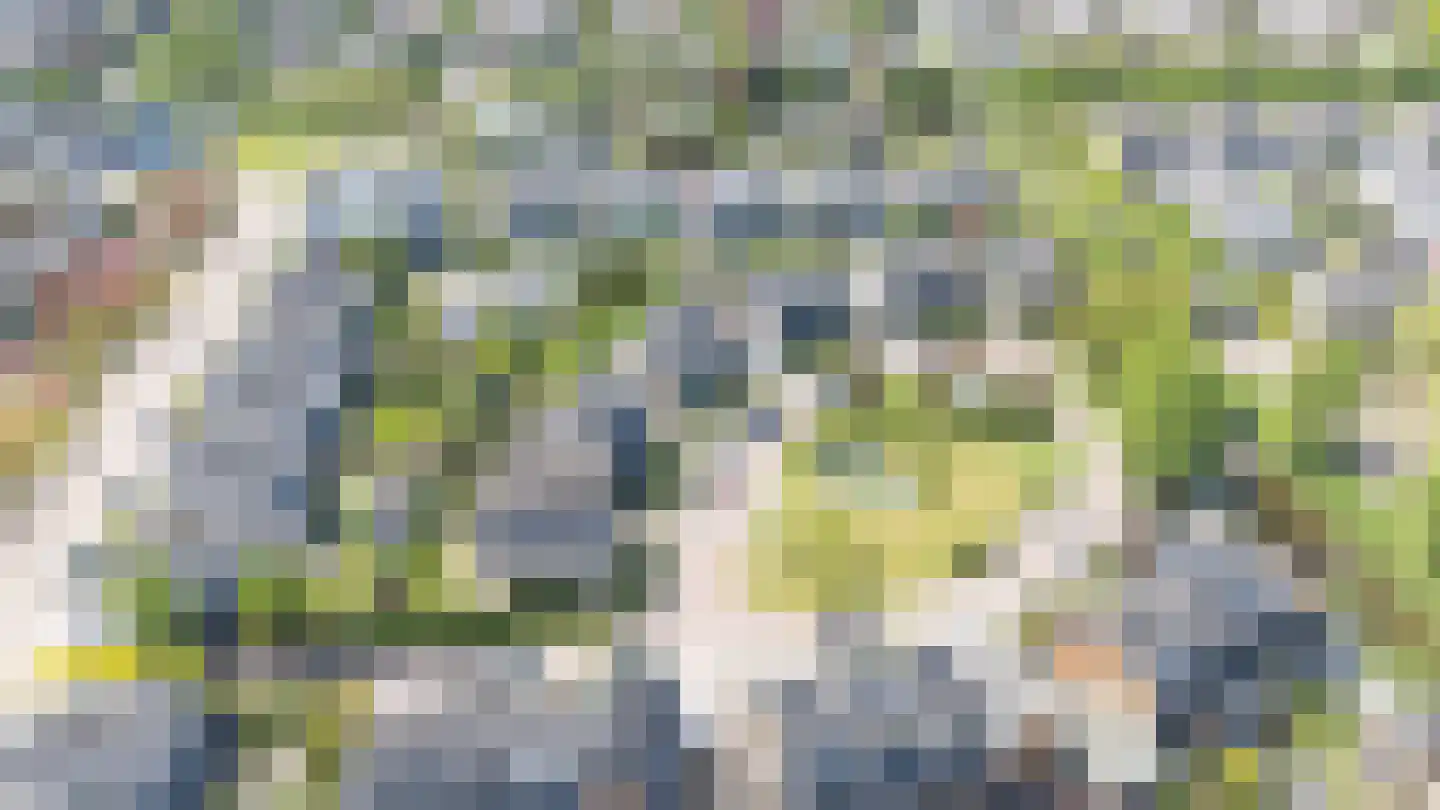 Vleugelvaren 5 Bergschenhoek thumbnail 57